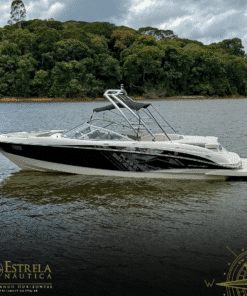 BAYLINER 250 BR FLIGHT SERIES